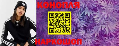 дмт Волгодонск