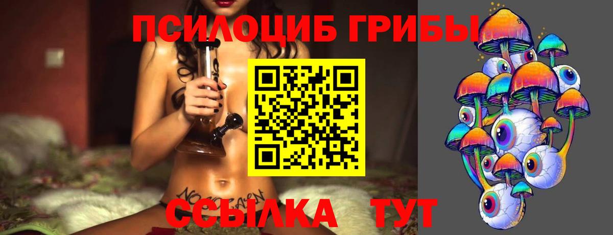 как найти закладки  Вход с VPN  Пушкино  Галлюциногенные грибы Magic Shrooms 